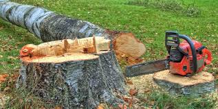 Best Stump Grinding and Removal  in Escanaba, MI