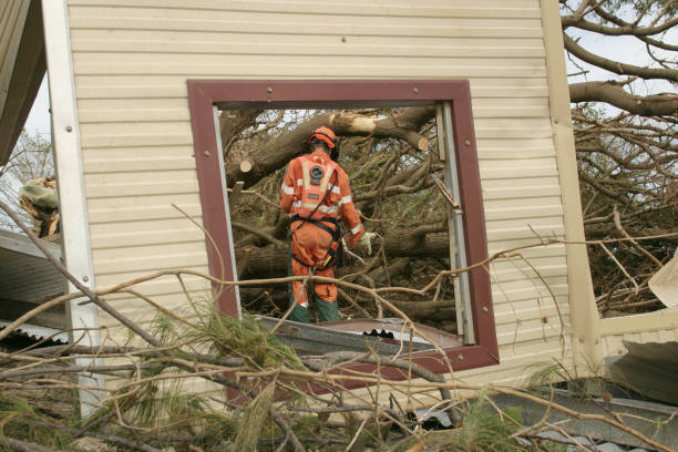 Best Leaf Removal  in Escanaba, MI